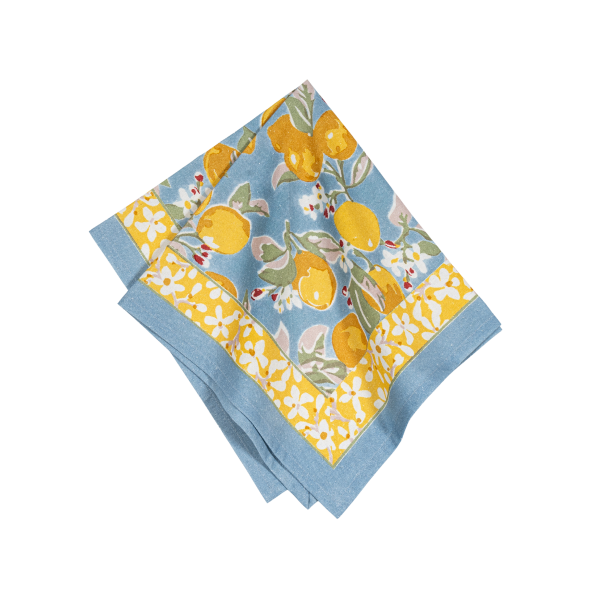 Citrus blue Set of 2 napkins